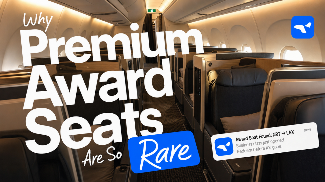 airline premium cabins