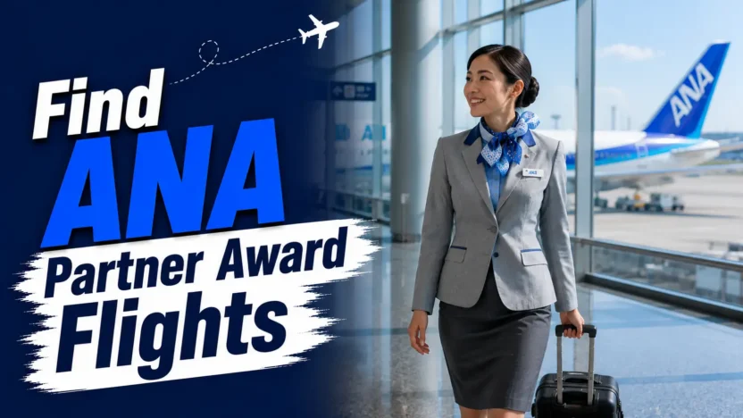 How to Search ANA Award Flights